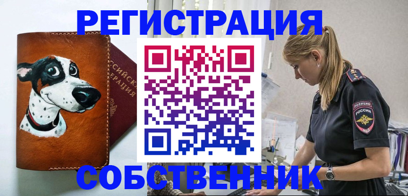 временная регистрация для школы в Шахтах